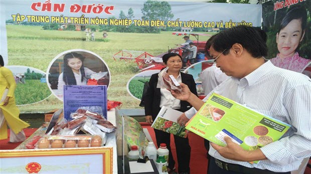  Nông sản Long An thiếu thị trường tiêu thụ