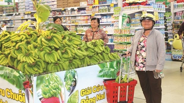  Cứu chuối, cứu đến bao giờ?