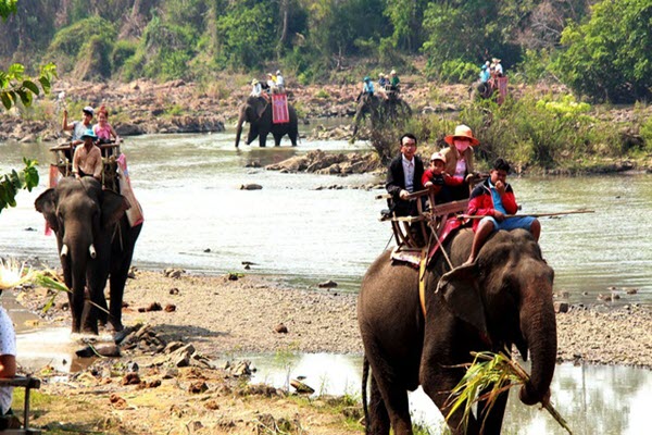 Lên Tây Nguyên mùa “con ong đi lấy mật”