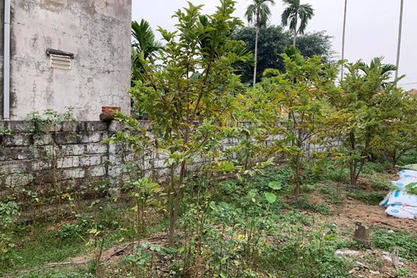 Lao vào cơn sốt đất ảo, vợ chồng nuốt nước mắt nhìn tài sản "đội nón ra đi"