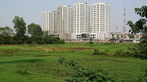 Người có tiền không dại nhưng tại sao vẫn “sập bẫy” sốt đất?