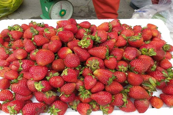 Dâu tây Trung Quốc gắn mác Đà Lạt 'siêu rẻ'