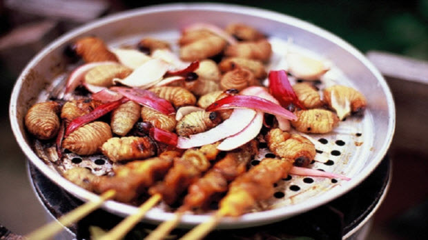 Đến Bến Tre, ăn ..."sâu tươi" béo núc