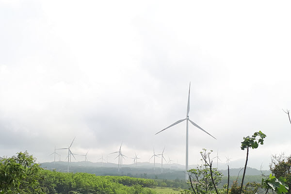 Nguy cơ điện gió, chưa ra hàng đã đối mặt cảnh báo đáng sợ