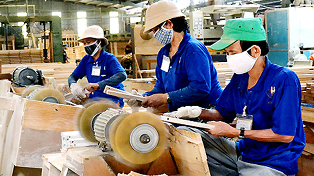 Hỗ trợ doanh nghiệp gỗ theo phương thức nào?