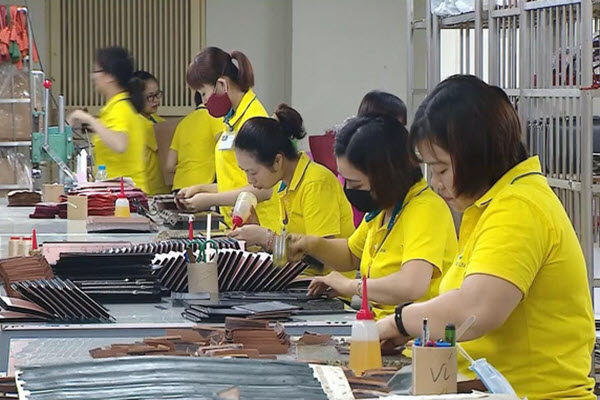 Chiến lược xây tổ để có ‘đại bàng' Quốc tịch Việt Nam