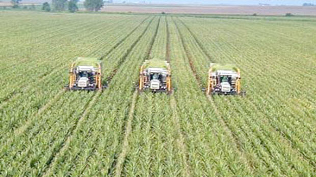  Doanh nghiệp công nghệ: Khó tiếp cận chính sách ưu đãi