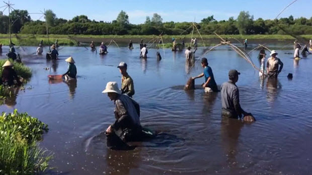  Độc đáo lễ hội “phá trằm” lội bùn bắt cá ở Quảng Trị