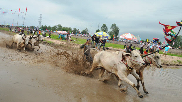 Năm 2017, Du lịch An Giang “bỏ túi” 3.700 tỷ đồng