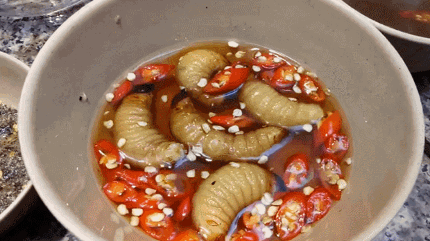  Rùng mình 5 món ăn sống ở Việt Nam khiến khách Tây “khiếp sợ”