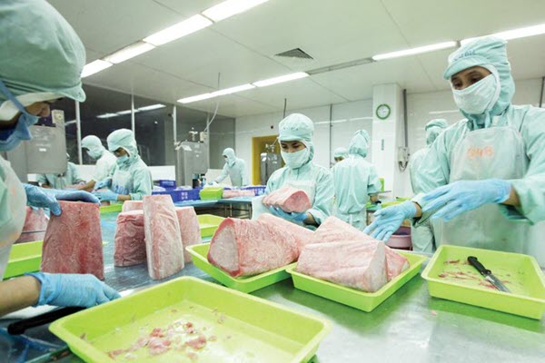 EU đóng cửa biên giới: Trái cây, thủy sản gặp khó