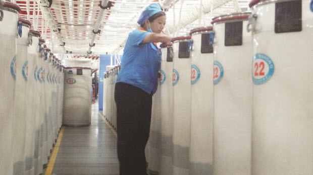 FDI: Vì sao vốn đầu tư tăng cao nhưng nộp ngân sách thấp?