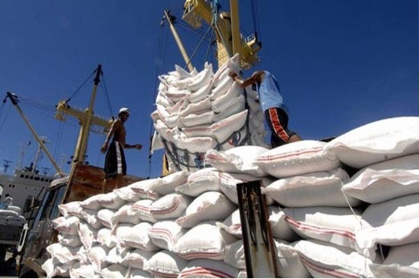 Xuất hiện thị trường nhập khẩu gần nửa tỷ USD gạo Việt chỉ trong quý I/2023