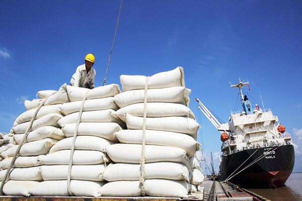 Việt Nam bán gần 1 triệu tấn gạo, Thổ Nhĩ Kỳ chi tiền gấp 186 lần mua gạo Việt