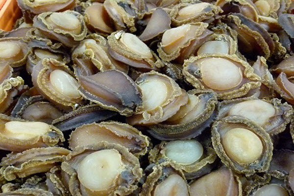 Tin đáng lo, biển Việt Nam vắng bóng hải sâm, bào ngư, tôm hùm