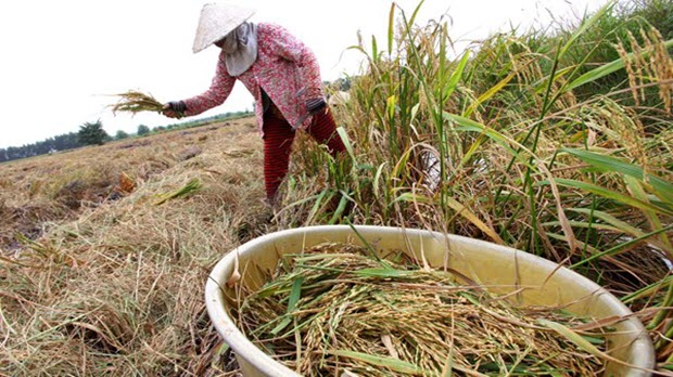 Nhìn lại bức tranh kinh tế Việt Nam quý I.2016: Lo nhiều hơn vui