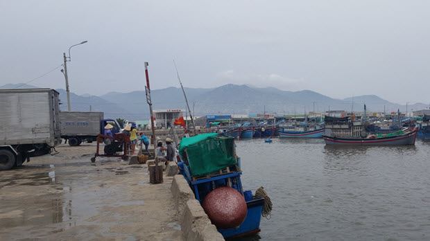 TP.HCM sẽ chi hơn 7.500 tỷ đồng đầu tư hai cầu Bình Khánh và Cát Lái