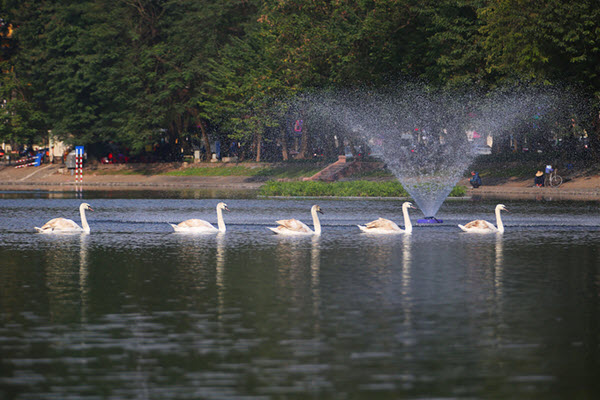 Hà Nội nghiên cứu tổ chức phố đi bộ hồ Thiền Quang