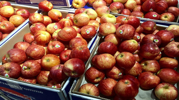 Táo Pháp rẻ như rau chợ, dân Việt sính ngoại ăn quả lừa