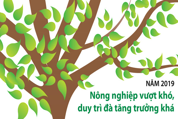 [Infographic] Năm 2019, ngành nông nghiệp duy trì đà tăng trưởng khá