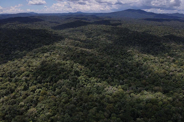 Khu dự trữ sinh quyển thế giới ở Tây Nguyên