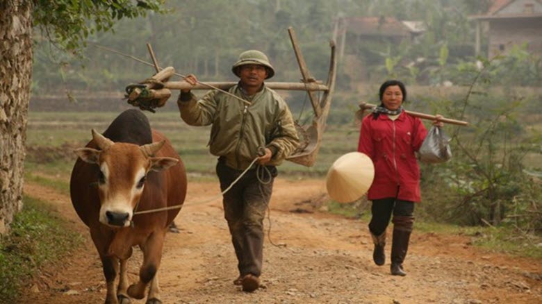 Hội nhập kinh tế: Nền nông nghiệp “chân dép lốp lên tàu vũ trụ”