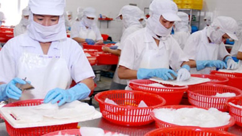 Mực, bạch tuộc Việt Nam ngày càng bán được giá