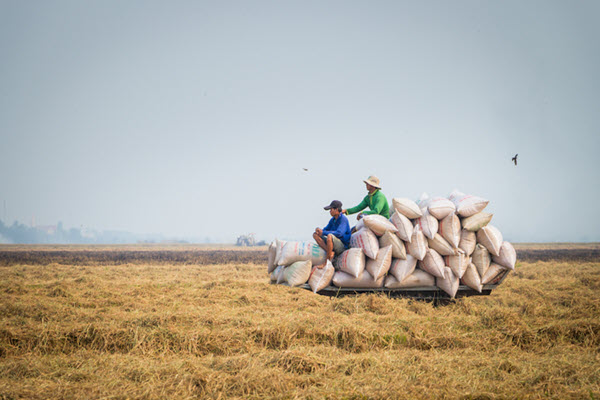 Loạt nông sản Việt chinh phục thị trường châu Âu