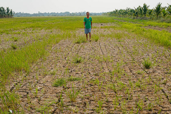 Hơn 1,3 triệu dân miền Tây di cư