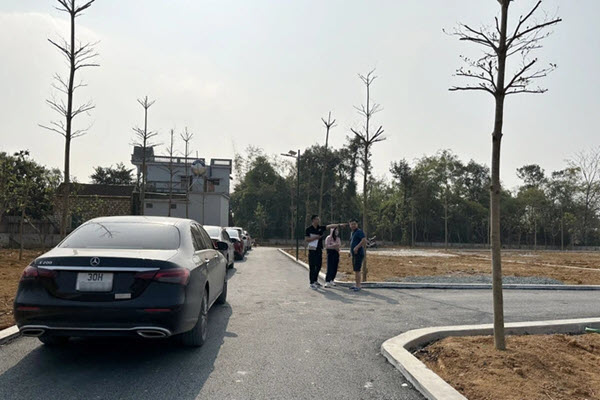 Hết thời hét giá, chủ đất và môi giới cùng bị ép giá