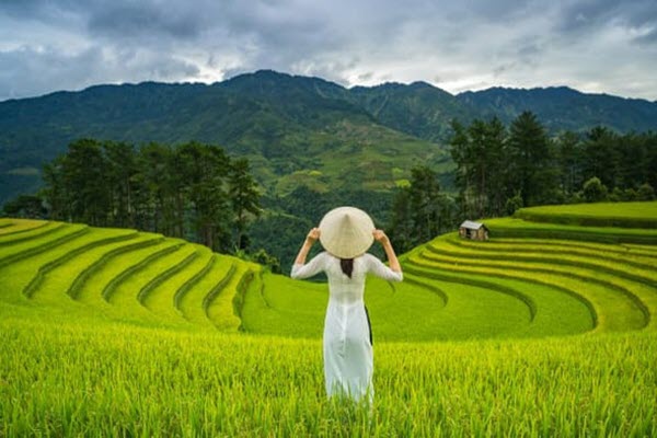 Truyền hình Mỹ bình chọn Mù Cang Chải là điểm đến hấp dẫn 2020