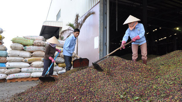  Xuất khẩu nông - lâm - thủy sản: Sẽ vượt mức 31 tỷ USD?