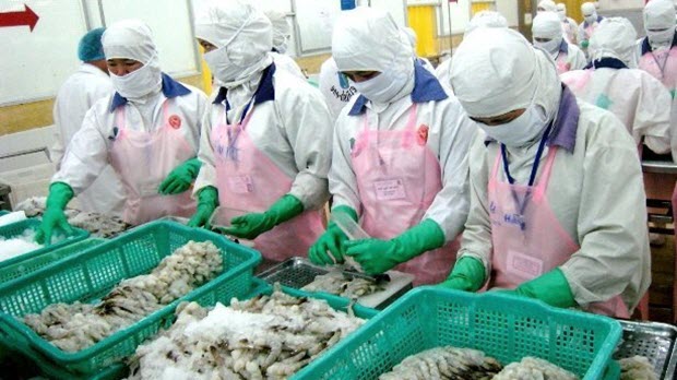  Thị trường Mỹ, Nhật thích tôm thẻ chân trắng hơn tôm sú