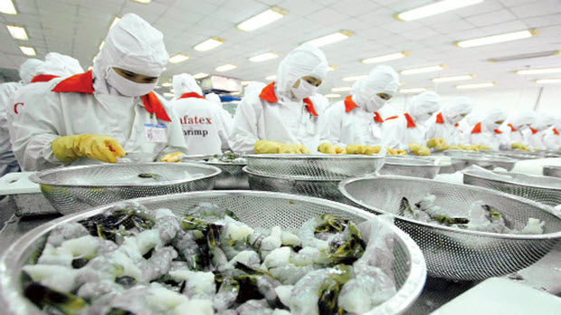 Thủy sản đua quay lại 'ao nhà'