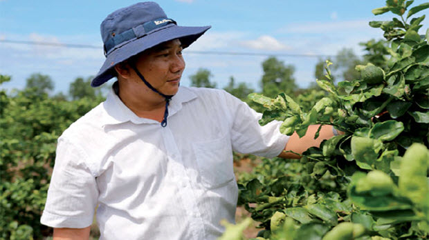Chủ tịch Chanh Việt Nguyễn Văn Hiển và hành trình phiêu lưu với chanh không hạt
