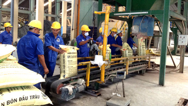  Quy trách nhiệm quản lý phân bón về một mối