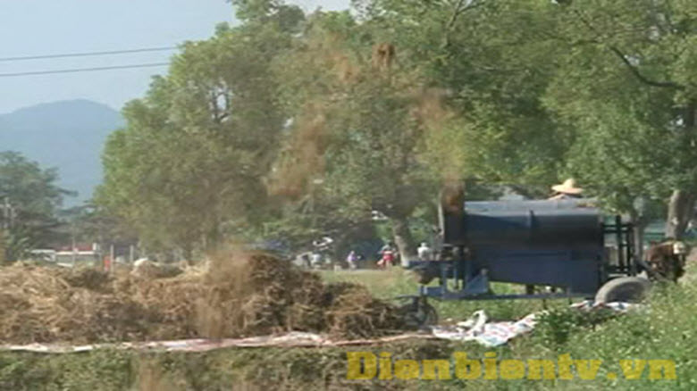 Quy hoạch được gần 80 nghìn ha đất gieo trồng các loại cây lương thực