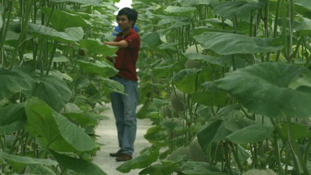  Thị trường châu Á giúp mặt hàng rau quả tăng trưởng mạnh