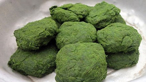  Lên Tây Bắc, thưởng thức đặc sản từ… rêu