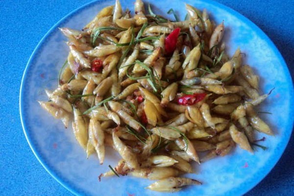 Hết hồn với món sâu muồng béo núc – đặc sản “tuyệt phẩm” ở Tây Nguyên