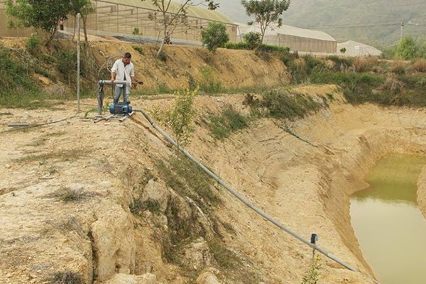 Vỡ mộng nông nghiệp công nghệ cao, nhà đầu tư rục rịch "tháo chạy"