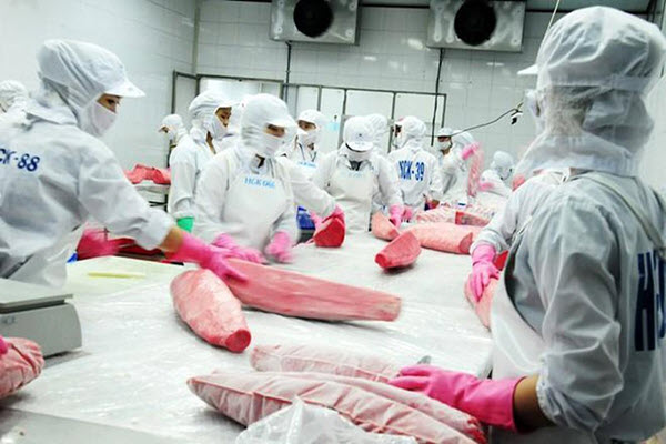 Ngành thủy sản trước ngưỡng cửa EVFTA: Không có nguyên liệu, đừng nói đến giảm thuế