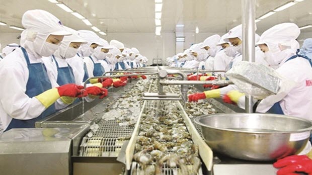  Cá chết, xuất khẩu thủy sản vẫn bình thản