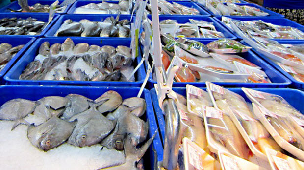  Xuất khẩu thuỷ sản hướng tới mục tiêu 8 tỷ USD