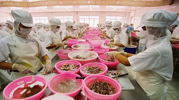 Vượt Mỹ, EU thành thị trường xuất khẩu thủy sản số một của Việt Nam