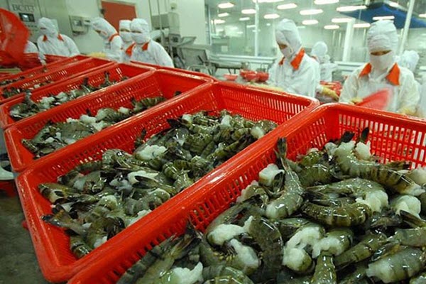Xuất khẩu tôm sang Mỹ 3 tháng đầu năm tăng 18,2%