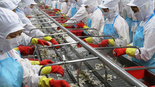 Trở ngại của “Vua tôm” khi quay lại “đường đua”