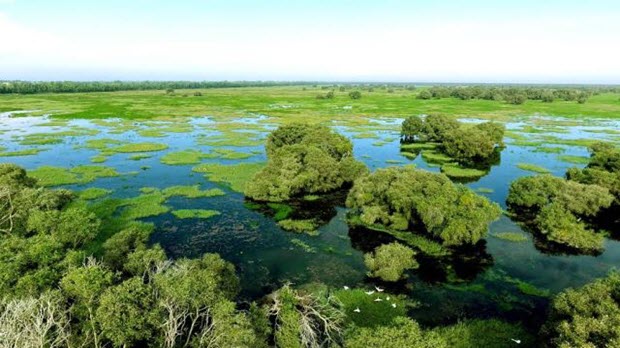 トラムについてトラムは、洪水の季節の特別な特徴を体験します