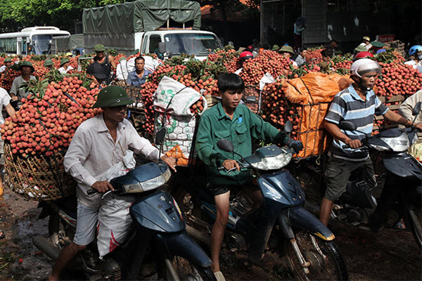 Trung Quốc thắng lớn, lo thế mạnh 6.000 tỷ của Việt Nam gặp khó