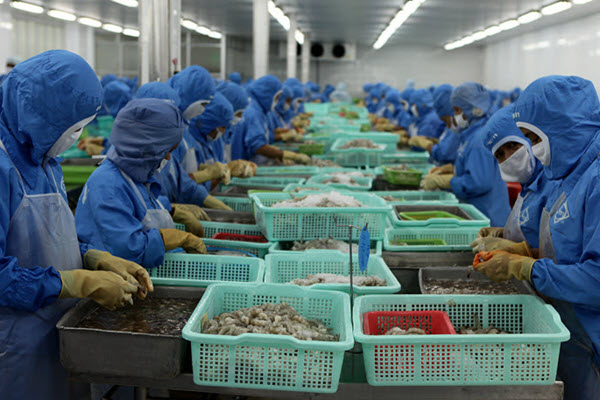 Cua Cà Mau rớt giá, thuỷ sản đi Trung Quốc tồn đọng lớn